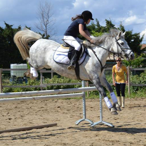 Poney Club des Tours - Chateaurenard - Rando Poney ST Remy de Provence