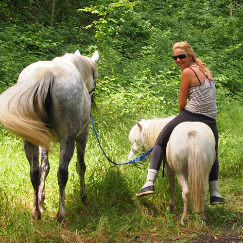 Poney Club des Tours - Chateaurenard - Equitation Avignon